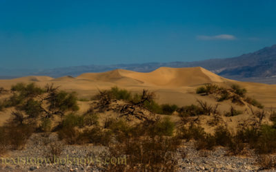 Death valley sand dunes  (PHOTO)