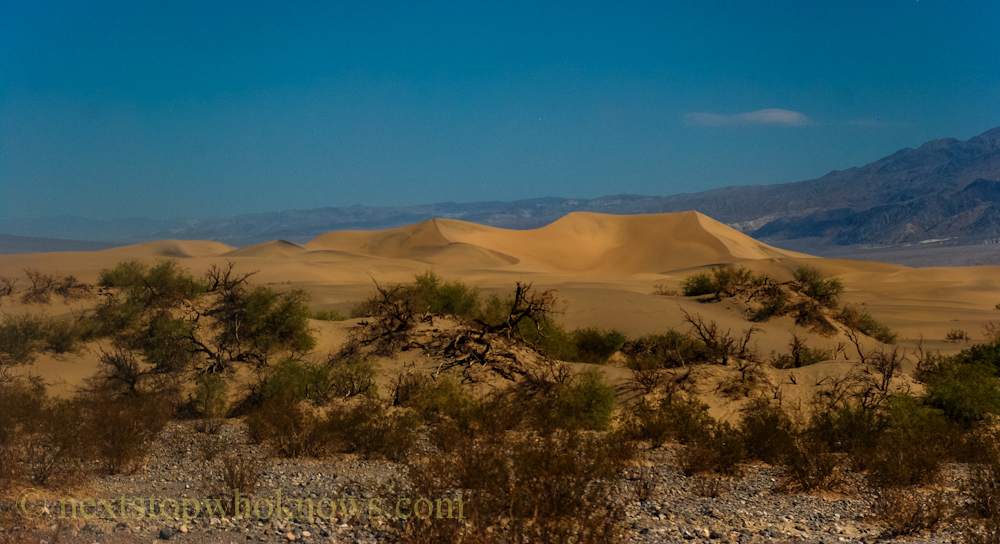 Death valley sand dunes  (PHOTO)