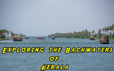 Exploring the Backwaters of Kerala