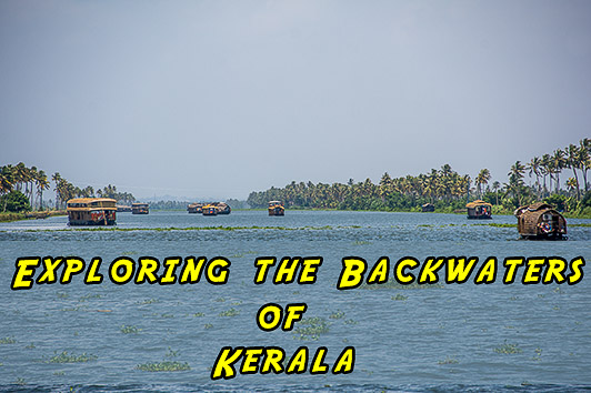 Exploring the Backwaters of Kerala