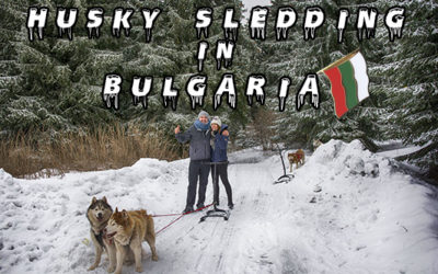 Husky Sledding in Bulgaria