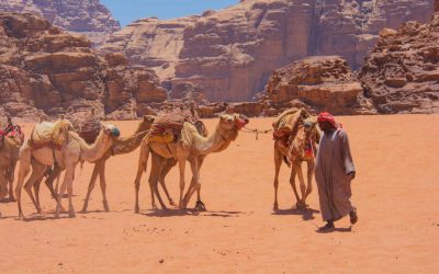 Experience the Magic of Wadi Rum