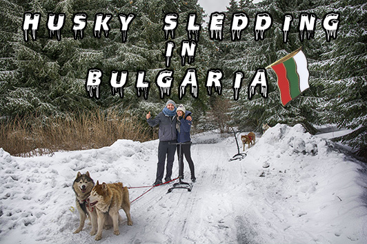 Husky Sledding in Bulgaria