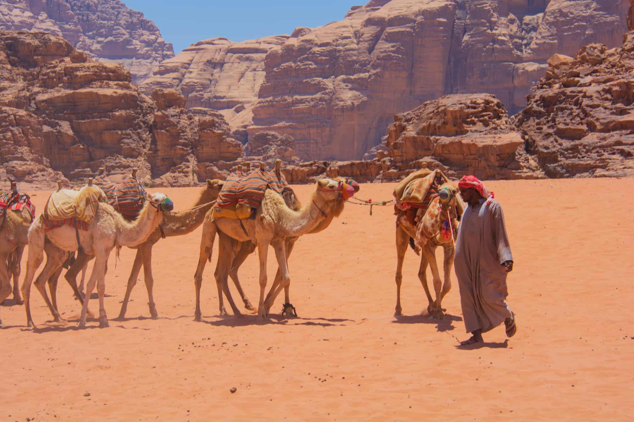 Experience the Magic of Wadi Rum